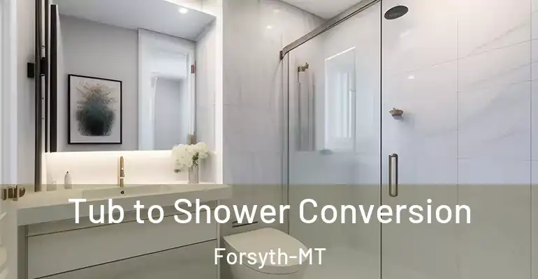 inner Bathroom imggen Tub to Shower Conversion Forsyth-MT