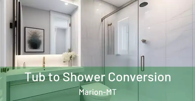 inner Bathroom imggen Tub to Shower Conversion Marion-MT