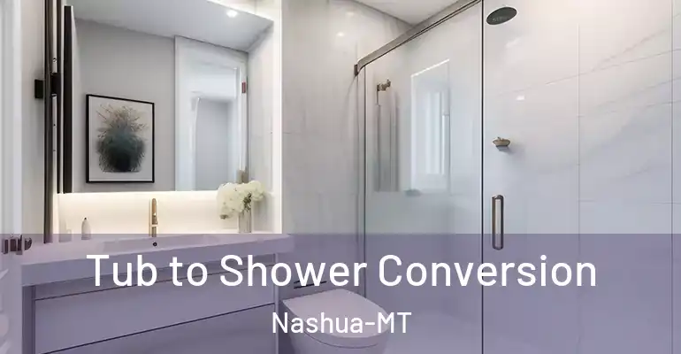 inner Bathroom imggen Tub to Shower Conversion Nashua-MT