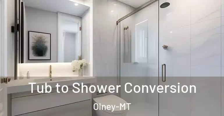 inner Bathroom imggen Tub to Shower Conversion Olney-MT