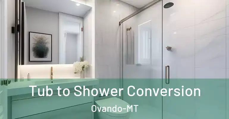 inner Bathroom imggen Tub to Shower Conversion Ovando-MT