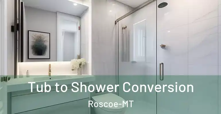 inner Bathroom imggen Tub to Shower Conversion Roscoe-MT