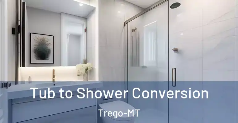 inner Bathroom imggen Tub to Shower Conversion Trego-MT