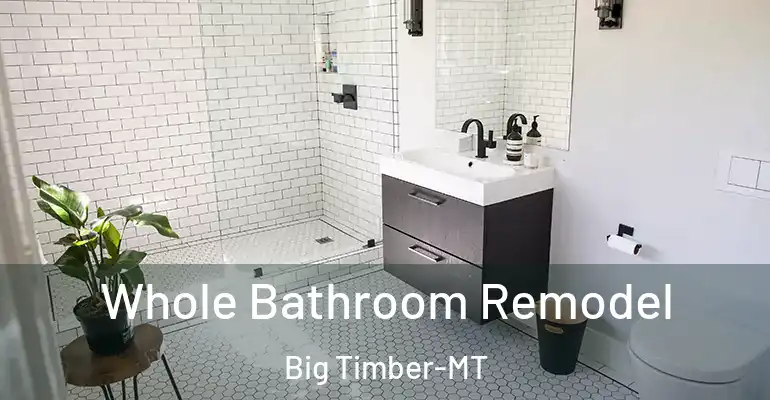 inner Bathroom imggen Whole Bathroom Remodel Big Timber-MT