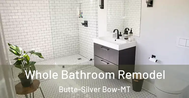 inner Bathroom imggen Whole Bathroom Remodel Butte-Silver Bow-MT