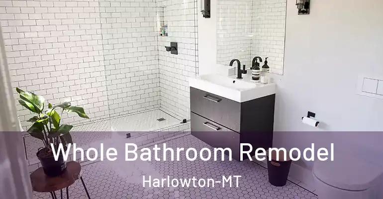 inner Bathroom imggen Whole Bathroom Remodel Harlowton-MT