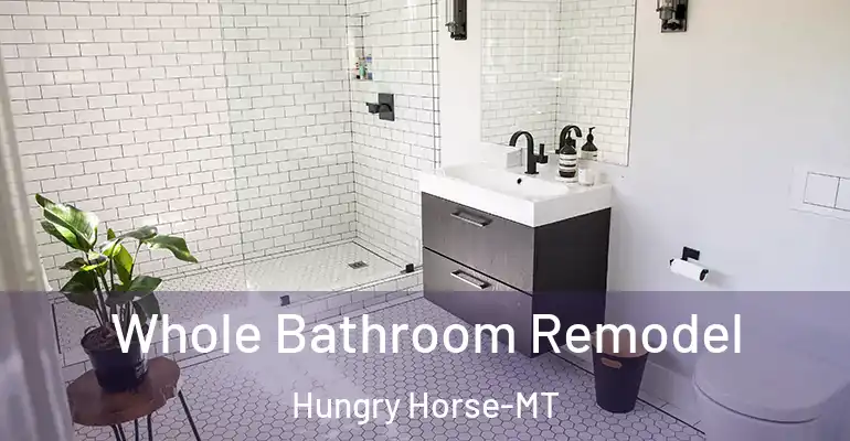 inner Bathroom imggen Whole Bathroom Remodel Hungry Horse-MT